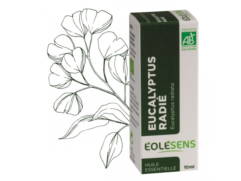 Eucalyptus radié Bio - Huile essentielle d'Eucalyptus radiata 30 ml