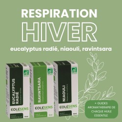 Trio Respiration Hiver