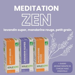Trio Méditation Zen